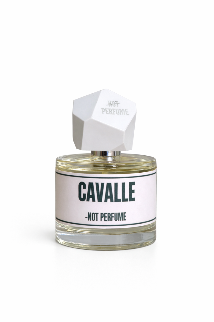 Cavalle